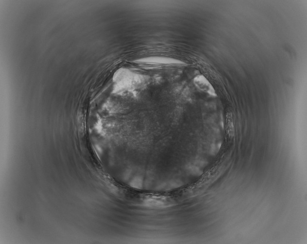 X0000112400471200909251439