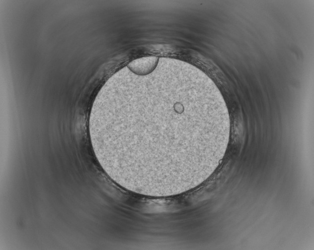 X0000112400473200909251439