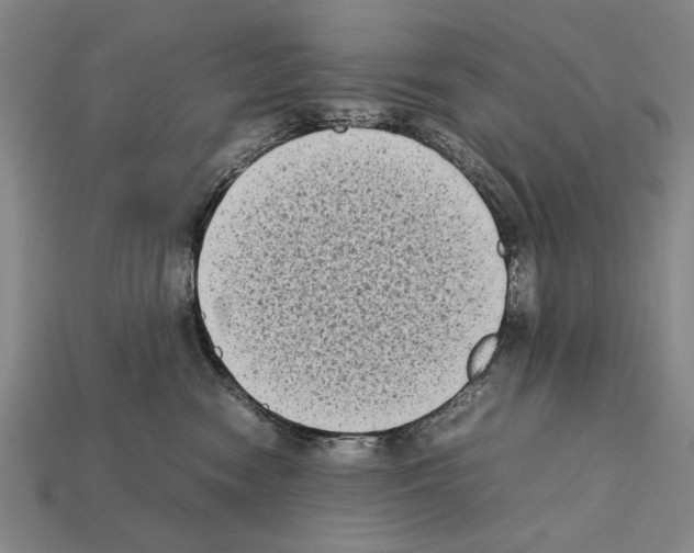 X0000112400474200909251439