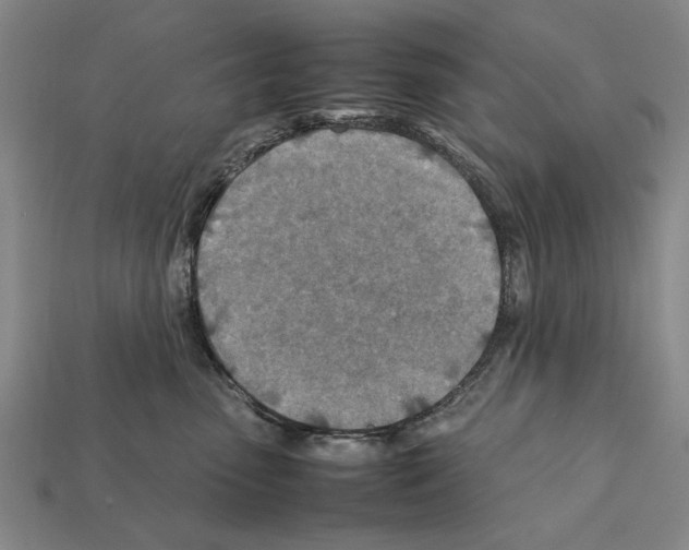 X0000112400475200909251439