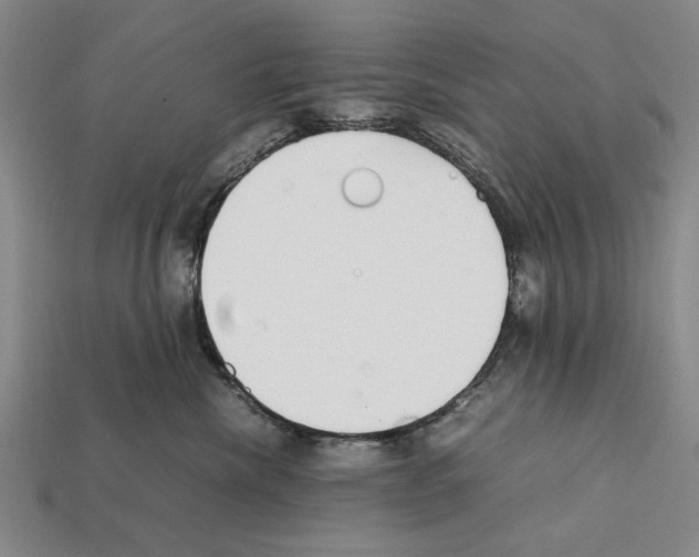 X0000112400476200909251439