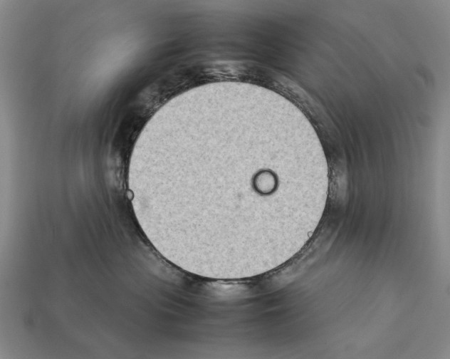 X0000112400477200909251439