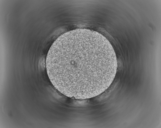X0000112400479200909251439