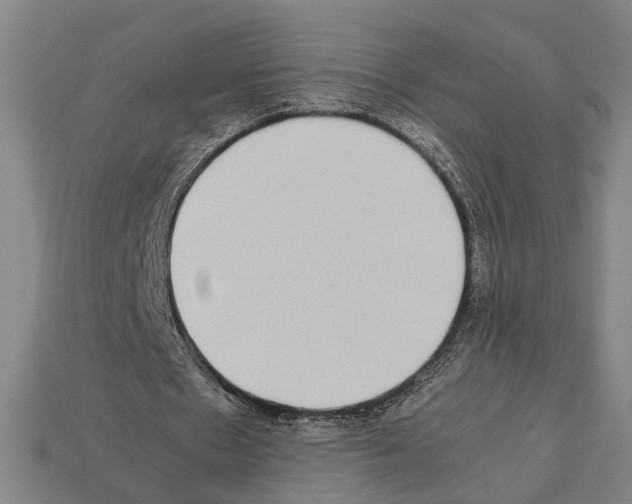 X0000112400481200909251439