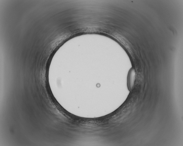 X0000112400485200909251439
