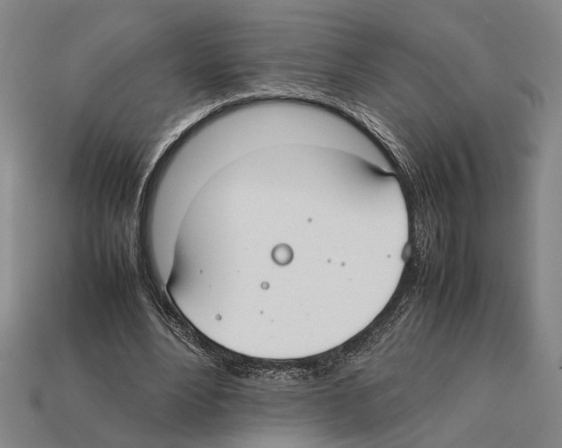 X0000112400488200909251439