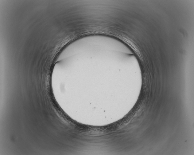 X0000112400489200909251439