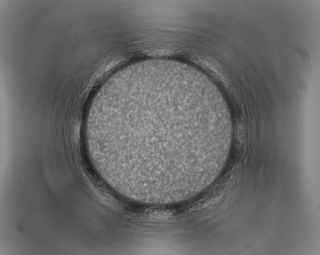 X0000112400491200909251439