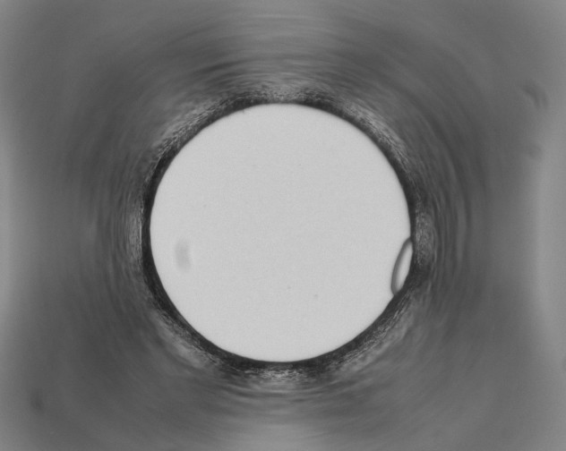 X0000112400493200909251439