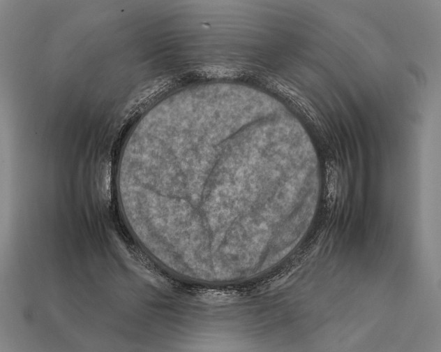 X0000112400494200909251439