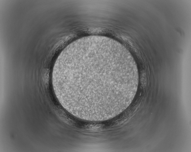 X0000112400495200909251439
