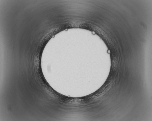 X0000112400497200909251439