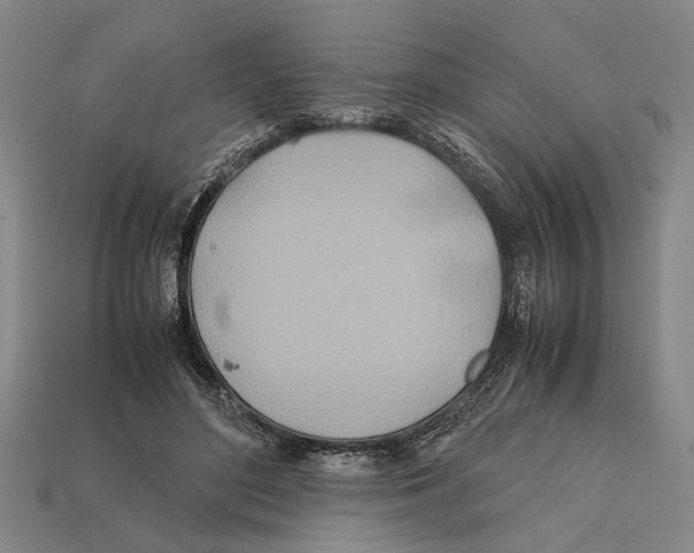 X0000112400500200909251439