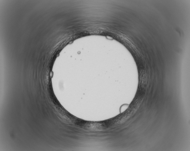 X0000112400501200909251439