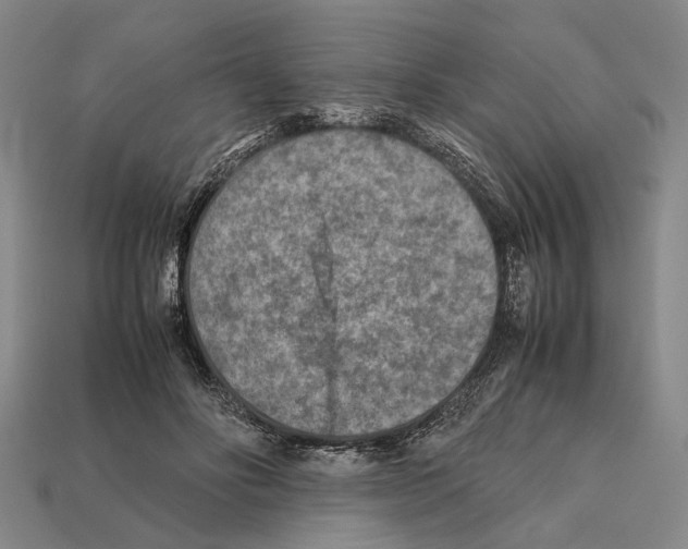 X0000112400502200909251439
