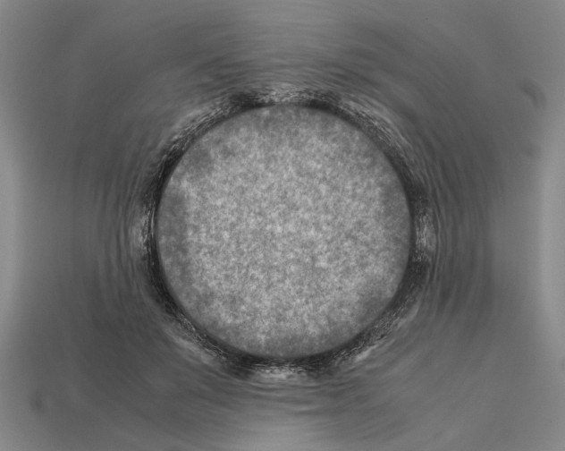 X0000112400503200909251438