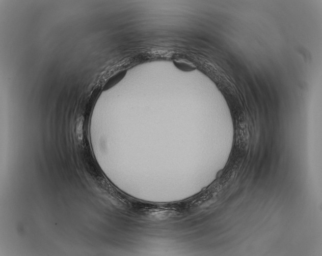X0000112400504200909251438