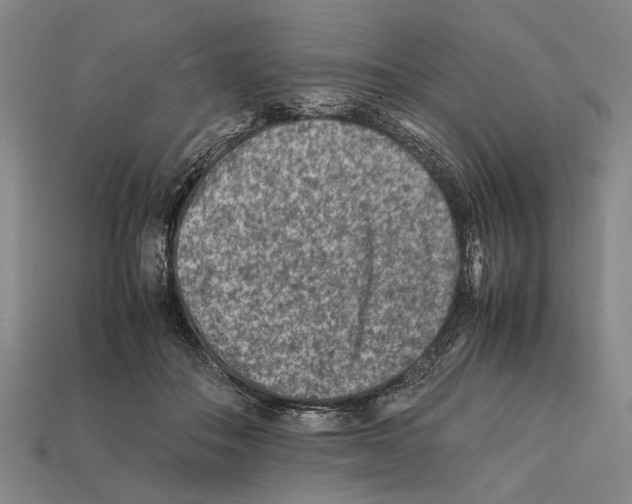 X0000112400506200909251438