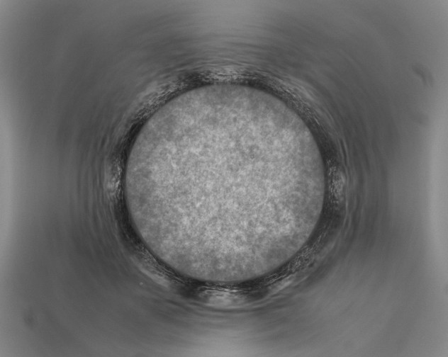 X0000112400507200909251438
