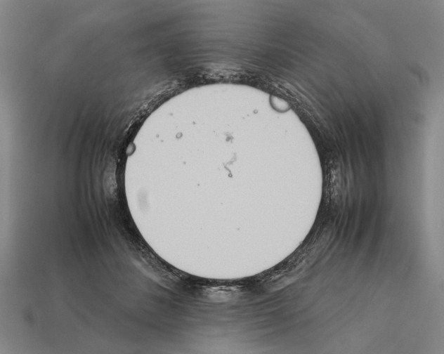 X0000112400508200909251438