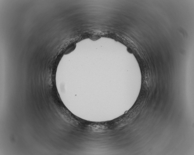 X0000112400512200909251438