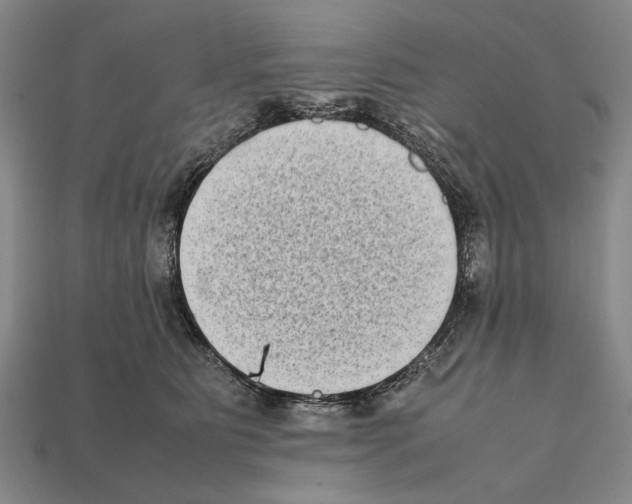 X0000112400515200909251438