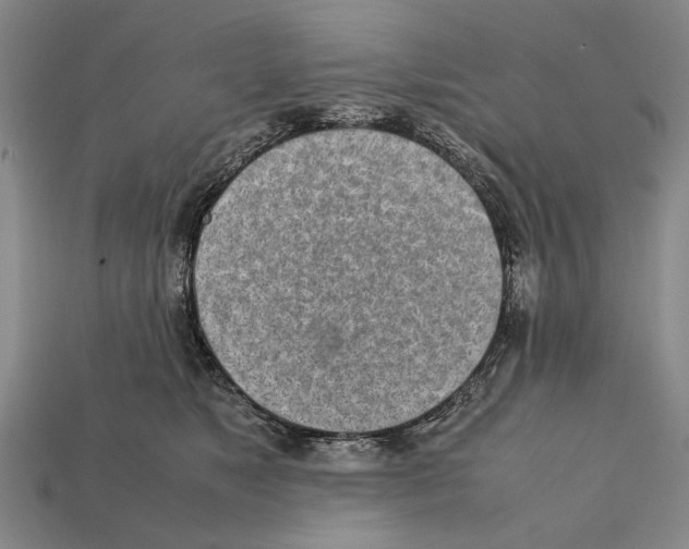X0000112400517200909251438