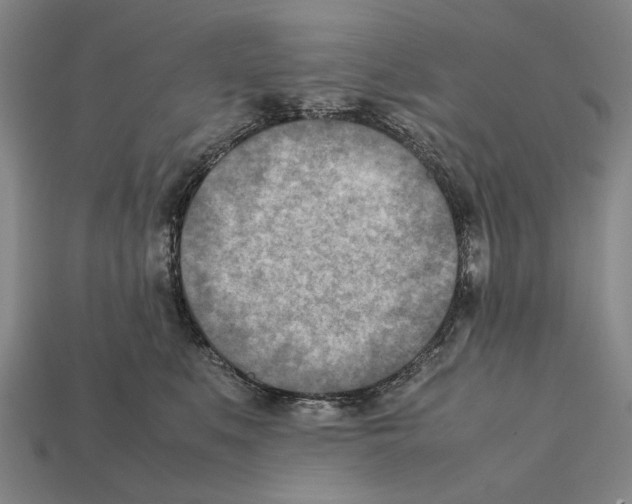 X0000112400519200909251438