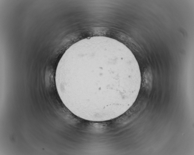X0000112400522200909251438