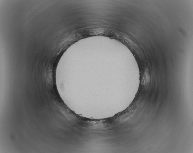 X0000112400524200909251438