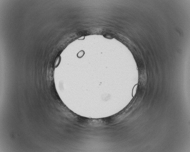 X0000112400525200909251438