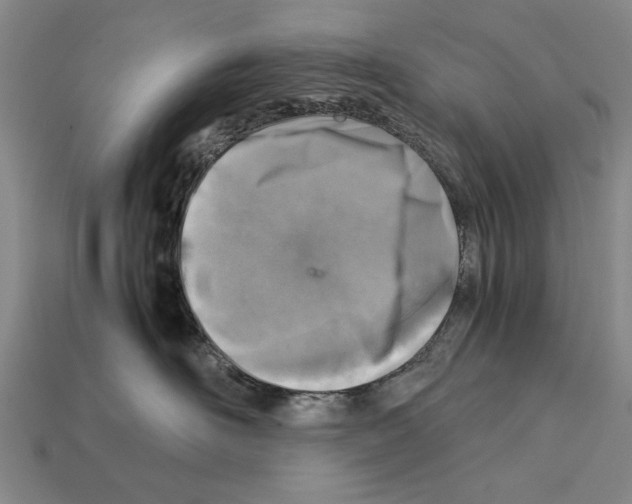 X0000112400526200909251438