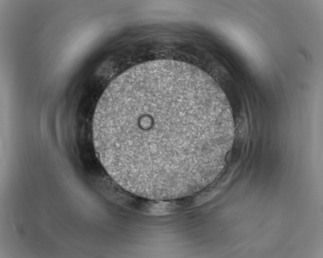 X0000112400527200909251438