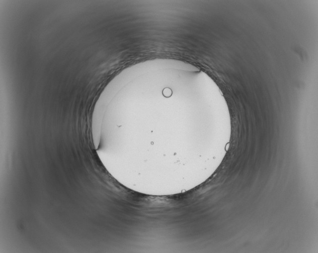 X0000112400528200909251438