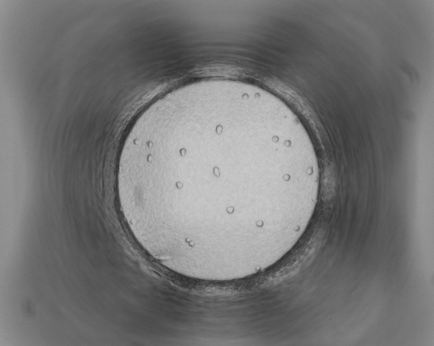 X0000112400529200909251438