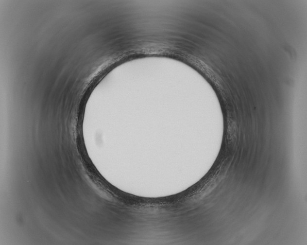 X0000112400530200909251438