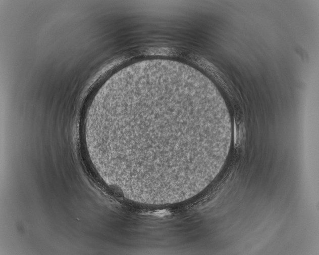 X0000112400531200909251438