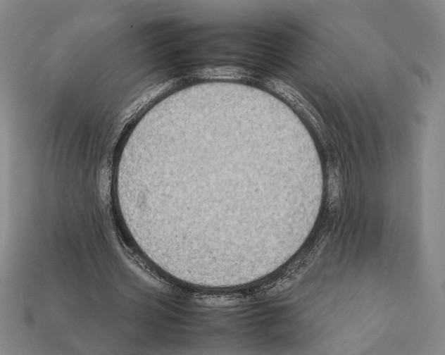 X0000112400533200909251438