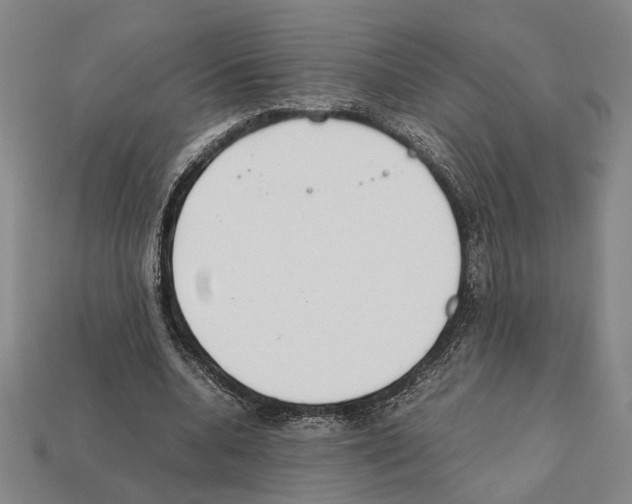 X0000112400536200909251438