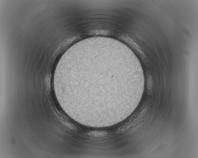 X0000112400537200909251438
