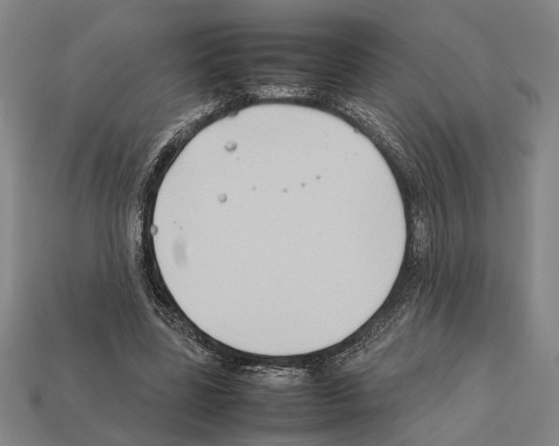 X0000112400539200909251438