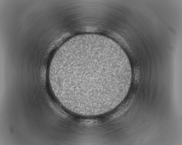 X0000112400542200909251438