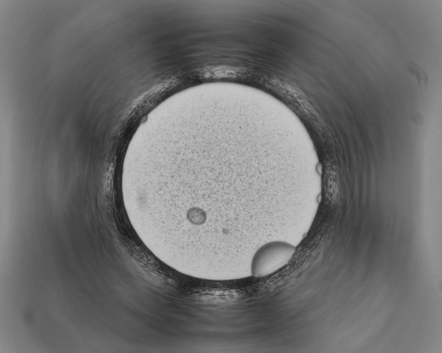 X0000112400543200909251438