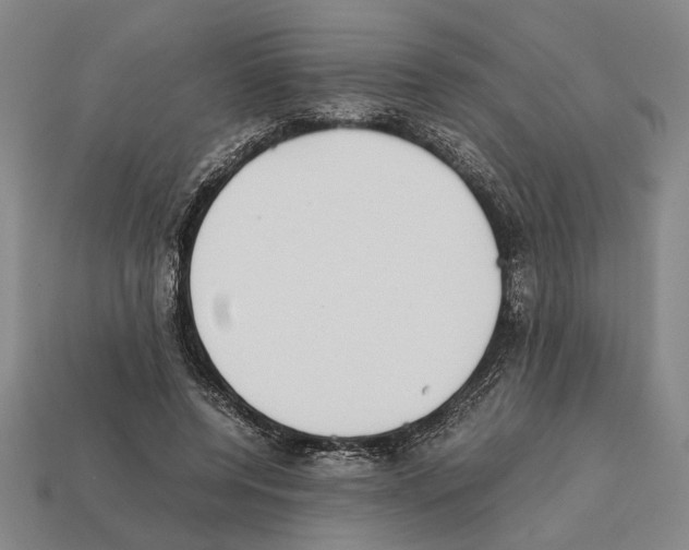 X0000112400544200909251438