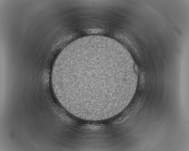 X0000112400545200909251438