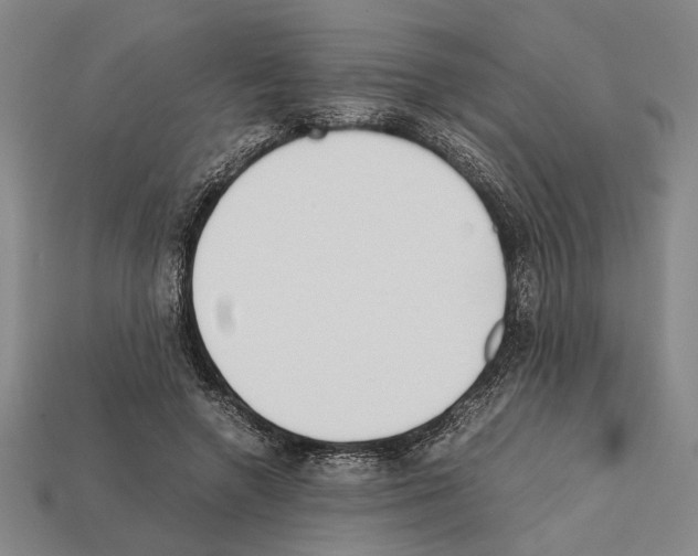 X0000112400546200909251438