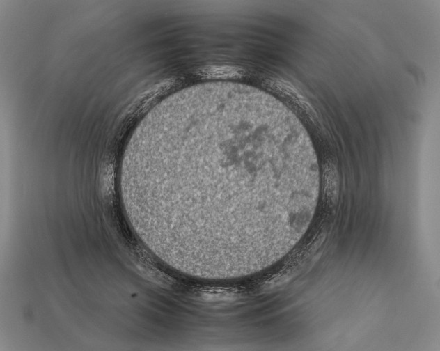 X0000112400549200909251438