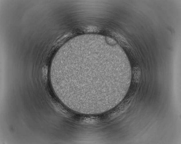 X0000112400550200909251438