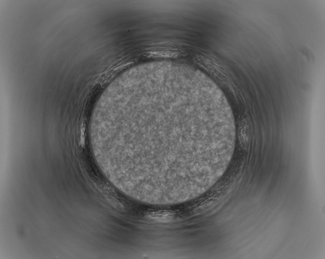 X0000112400551200909251438