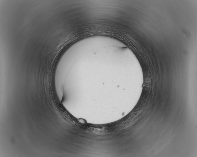 X0000112400552200909251438